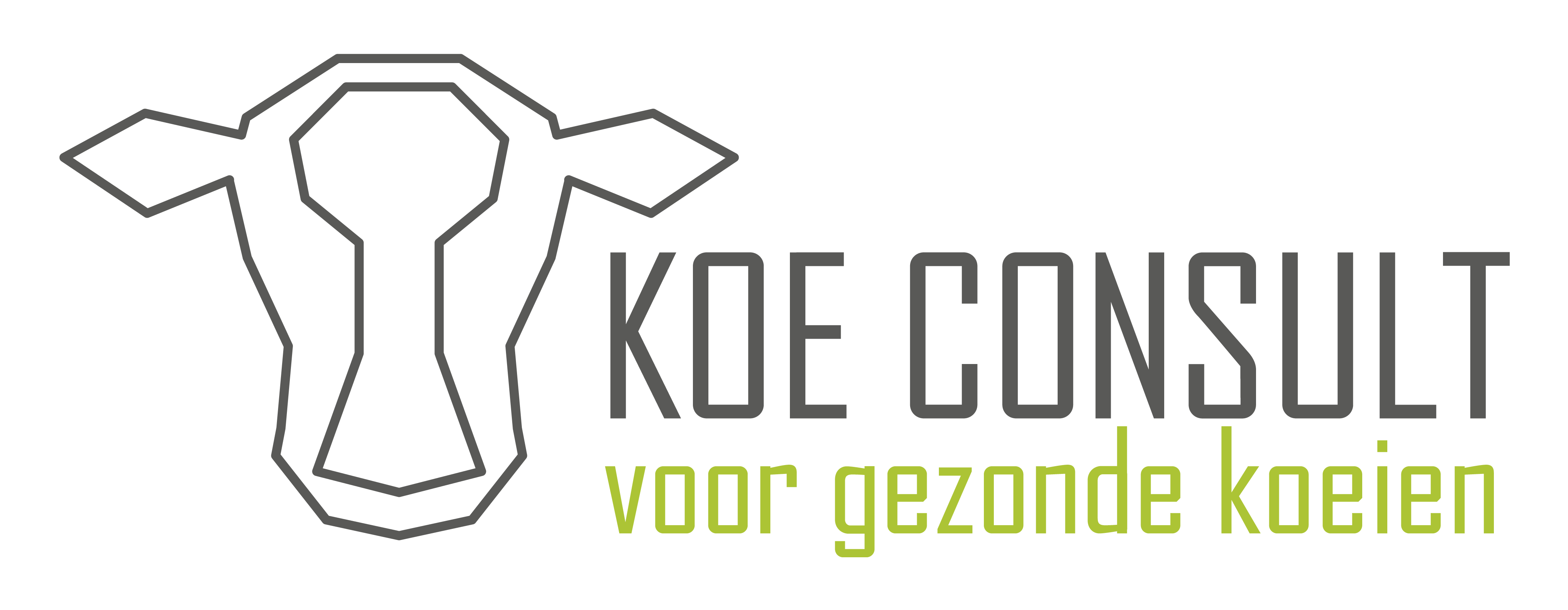 Koe Consult Logo